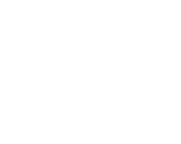 Oso Uruguay